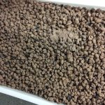 Toffee Vodka infused raisins in milk chocolate